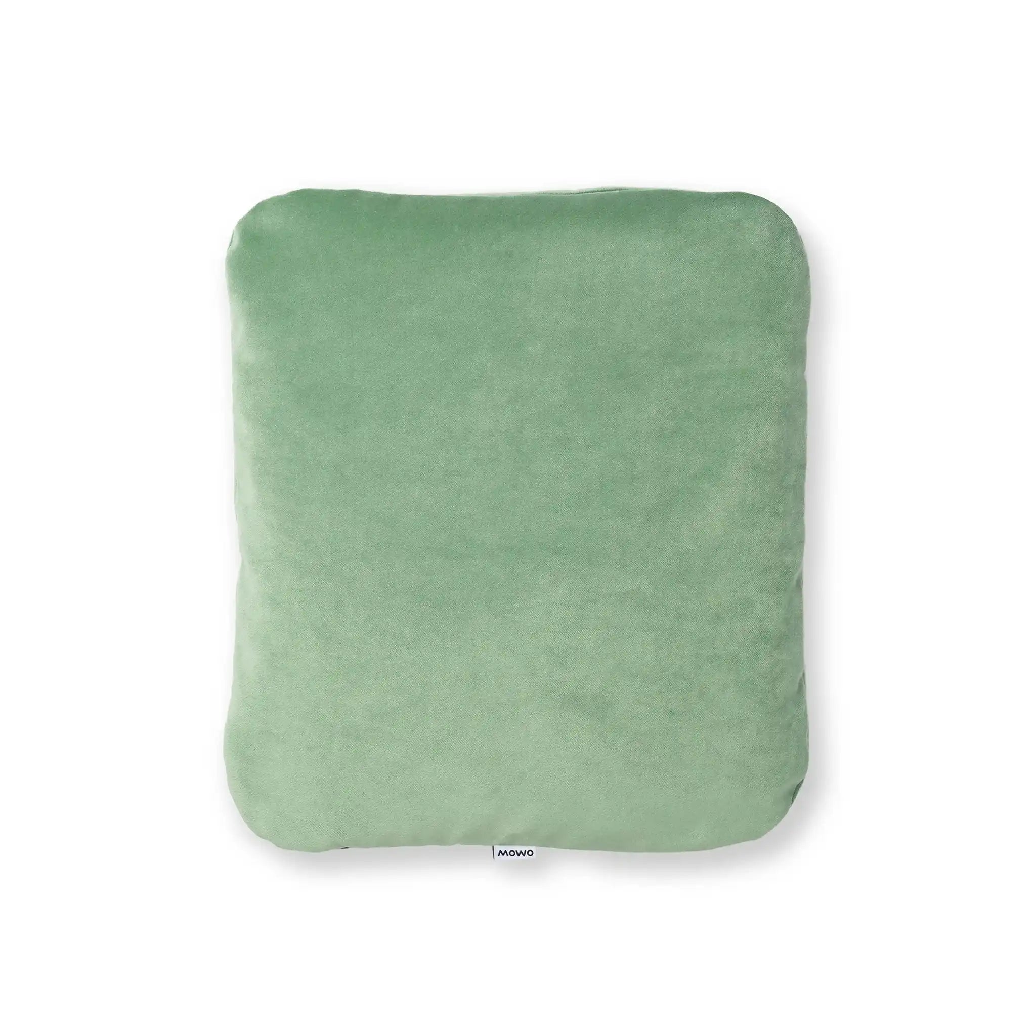 Neuware-Prototyp-Aloegrün || New-Prototype-AloeGreen || Nieuw-Prototype-Aloëgroen